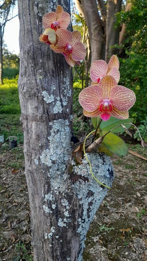 Sitio Sao Benedito Pirenopolis Luaran gambar